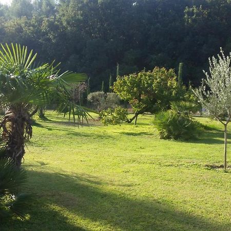 Bed and Breakfast Provence Carpentras Exterior foto